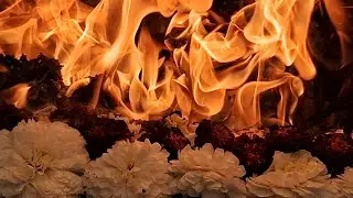 Шани ягья.  30.12.23