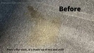[Cleaning Carpet Stain with Shaving Cream] check the result (urgent clean)