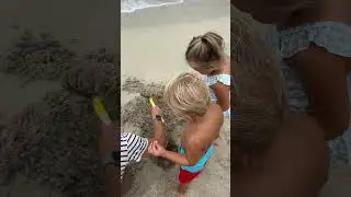 Малыши играют на пляже с папой. Милое видео!
