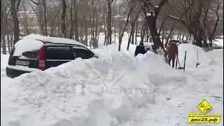 Закидали машину
