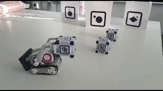 Playing With Cozmo