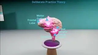 Desktop Brain video (Desktop visualization)