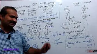 DAY 80: Charge On Colloids