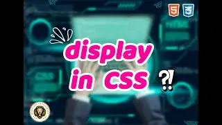 explain display in CSS styles