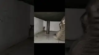 Прочитал мысли 
