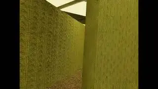 BackRooms Test 1