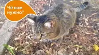 Неудачные кадры! 2в1.Кухня и Батл по магии.😆😄🎬