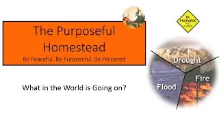 The Purposeful Homestead November Promo