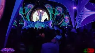 Indigo genaration 5 / Ukauka / 1080p@60