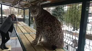 Марина в гостях у Рыськи.