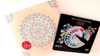 STOP MOTION MANDALA COLORING BOOK MEDITATIVE GARDEN MANDALA