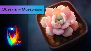 Стрим №313: Слава Суккулентам (стадик на рисование суккулентов)