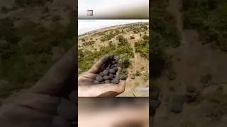 Why Throwing Black Balls