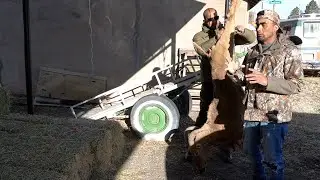 Aventura De Cacería Con El Sueño De Un Cazador