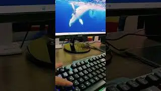windows shortcut key | Amazing shortcut key | shortcut key of computer 