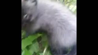VID 20150601 134056