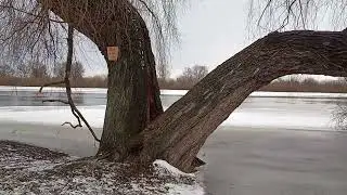 Такого не было давно! Февраль. Разлив Днепра