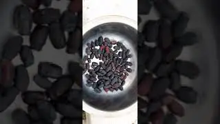Жимолость