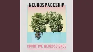 Neurons