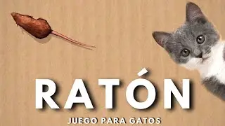 👉JUEGO de RATONES🐀 [VIDEOS PARA #GATOS]😸