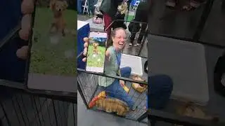 Puppy dogs for adoption at Houston Humane Society exhibitor space, Comicpalooza 2023