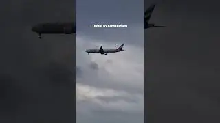 Emirates Flight to Amsterdam #b777 #777 #boeing777 #emirates #aviation #landing #dxb #ams