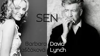 BARBARA HAŠČÁKOVÁ & DAVID LYNCH - SEN | RETRO FEEL EDIT