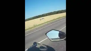 Оказывается по полю ,можно ездить не только на комбайне.