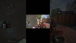 Rag dolls go crazy
