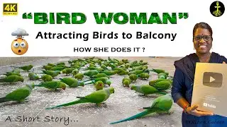 How to Attract birds | A short story 🤯 #parrot #viralvideo