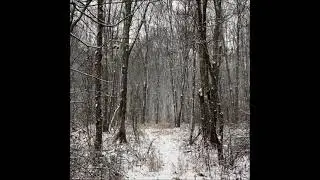 Jackals' Feast - Prayer to Crom (Single 2024)