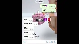 Что значит Мяу мяу ? Кто знает пишите комы узнаем 😘!!!
