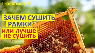 #Пчёлы. Обсушка рамок, это нужно для пчёл? Или можно не сушить? Какие последствия будут?
