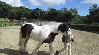 Interdressage Jenny Lee Collacott Ben 8B September