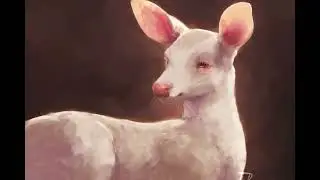 ALBINO FAWN || Digital Speedpaint