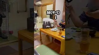 しれっと超大型犬に餌付けする祖父　