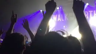 Walk off the Earth - Rule the world / 5 peeps one guitar (28/04/2018 - Zénith de Lille)