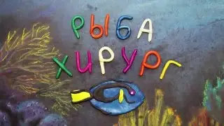 Рыба хирург. Пластилиновый познавательный мультфильм. Acanthuridae. Plasticine Animation
