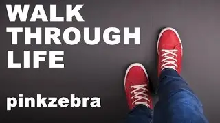 Pinkzebra 