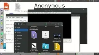 Vlc error fix in Kali linux 2.0