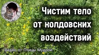 Как очистить тело от колдовских воздействий.