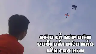 SOLO DIỀU SÁO _ DIỀU CÁ MẬP CO qDy3LÊN CAO BẰNG DIỀU DÁI KHÔNG