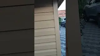 Поймал соседок в своём огороде