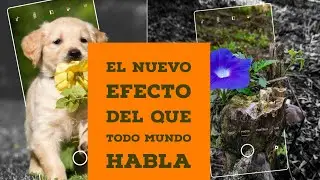 efecto viral de Snapseed o picsart 2020