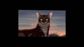 Black\Tigerstar #warriors cats #котывоители Звездоцап #коты #кот #рекомендации #cat #warriors #cats