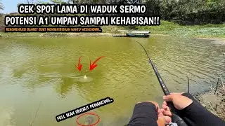 SPOT A1 IS SO POTENTIAL UNTIL IT RUNS OUT OF BAIT!! Fishing for tilapia with fine moss bait at Se...