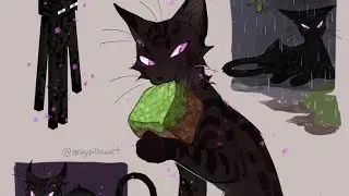 Коты воители ~ Мир миру