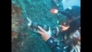 Wrack Lina, Insel Cres, Diving Cres -Nicole, Mirko u. Ralle