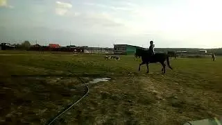 WhatsApp Video 2019 04 30 at 18 47 05