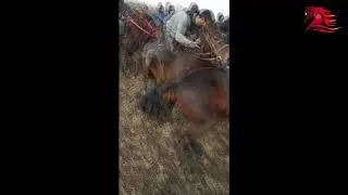 Бузкаши Дар Ш Вахтат  Дехаи Мачитон 22 11 2020